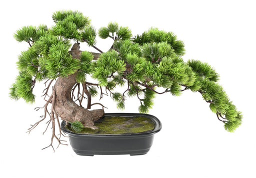 Kunstig Bonsai Fyr 37Cm Med Dekorativ Kop