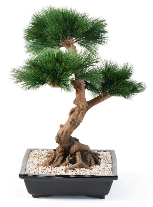 Kunstig Bonsai Fyr 70 Cm Til Indendørs