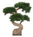 Kunstig Bonsai Fyr På Platin H.92Cm Dekoration