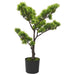 Kunstig Fyr Bonsai Med Pot 60 Cm Grøn