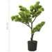 Kunstig Fyr Bonsai Med Pot 60 Cm Grøn