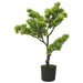 Kunstig Fyr Bonsai Med Pot 60 Cm Grøn