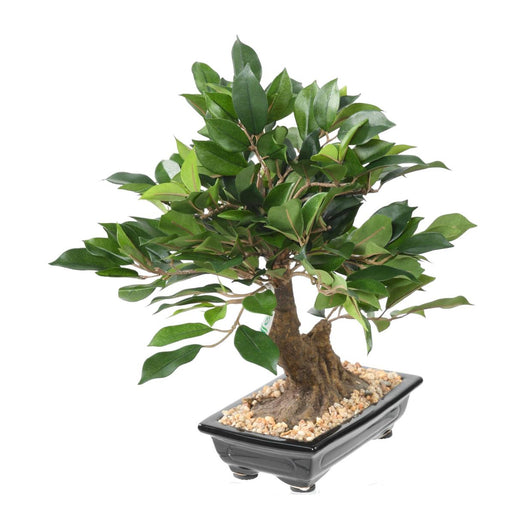 Kunstig Ficus Bonsai 38 Cm Til Indendørs