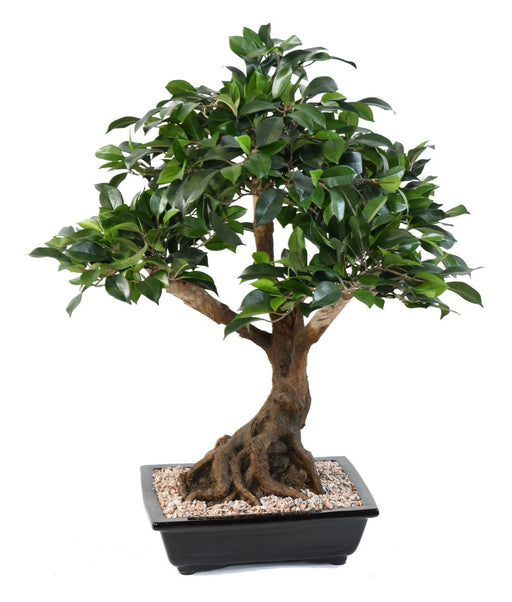Kunstig Ficus Bonsai I Kop 58 Cm Indendørs Plante