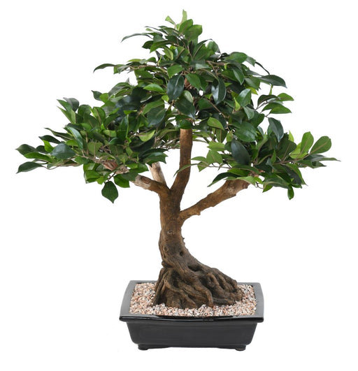 Kunstig Ficus Bonsai I Kop 58 Cm Indendørs Plante