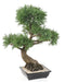 Kunstig Bonsai Juniperus 100 Cm Indendørs Plante