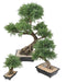 Kunstig Bonsai Juniperus 100 Cm Indendørs Plante