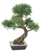 Kunstig Bonsai Juniperus 100 Cm Indendørs Plante