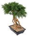 Kunstig Bonsai Juniperus 60 Cm Indendørs Plante