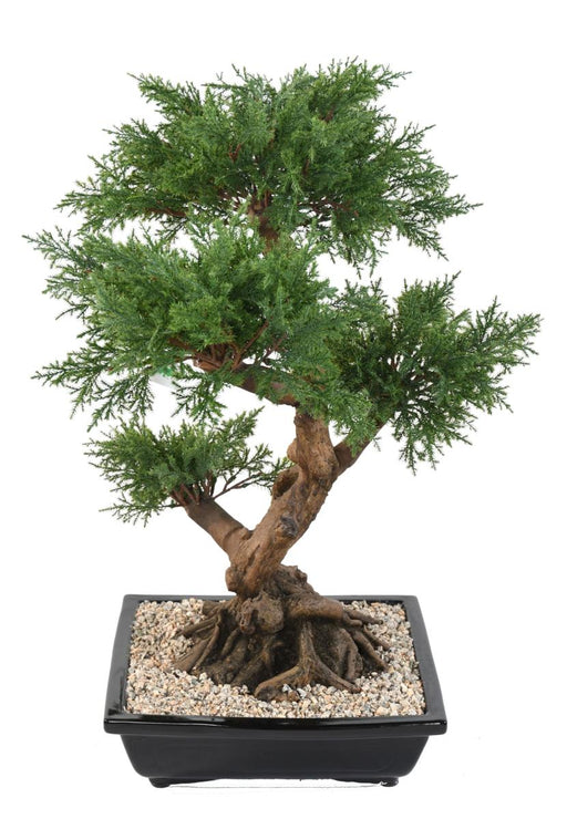 Kunstig Juniperus Bonsai 75 Cm Keramik
