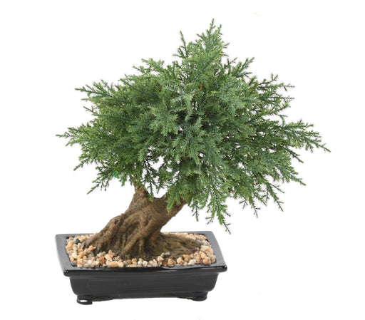 Kunstig Juniperus Bonsai Til Indretning