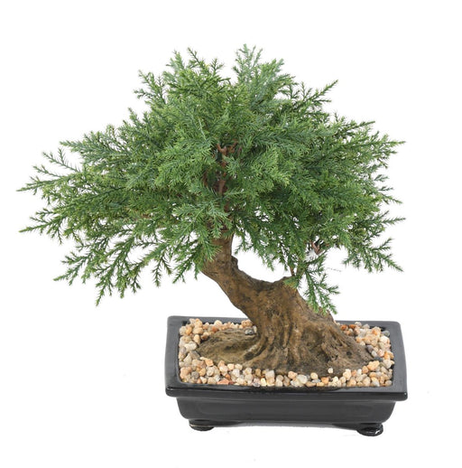 Kunstig Juniperus Bonsai Til Indretning