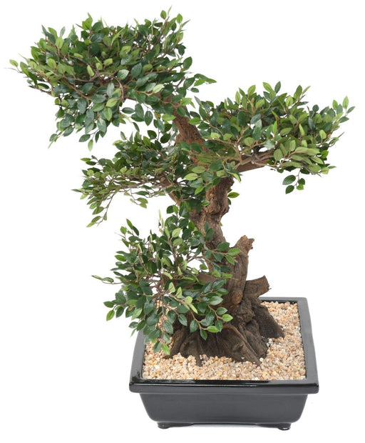 Kunstig Elm Bonsai 70Cm Med Keramisk Pot