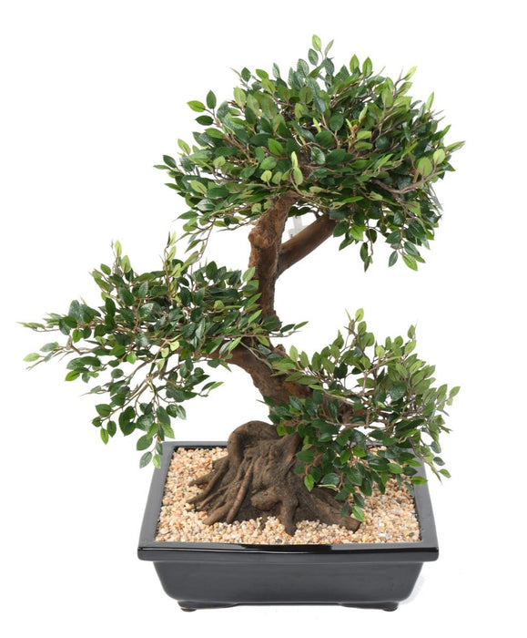 Kunstig Elm Bonsai 70Cm Med Keramisk Pot