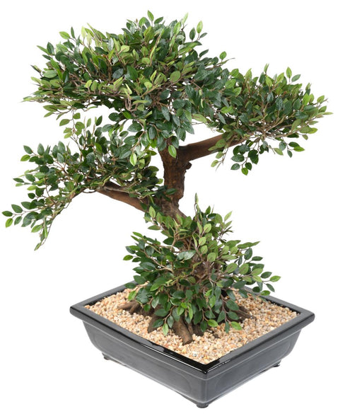 Kunstig Elm Bonsai 70Cm Med Keramisk Pot