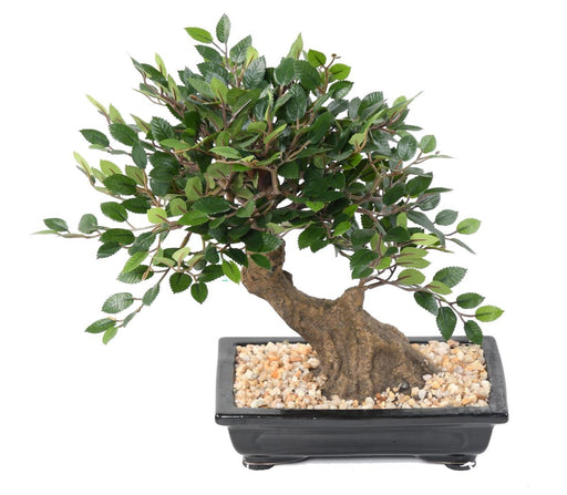 Kunstig Elm Bonsai Med Grus Til Indendørs