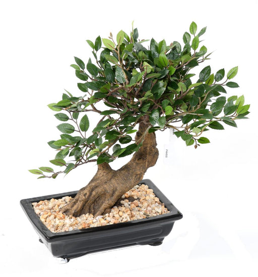 Kunstig Elm Bonsai Med Grus Til Indendørs