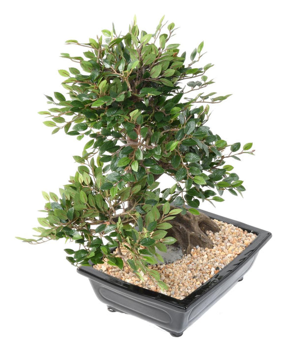 Kunstig Elm Bonsai Med Sort Keramisk Pot
