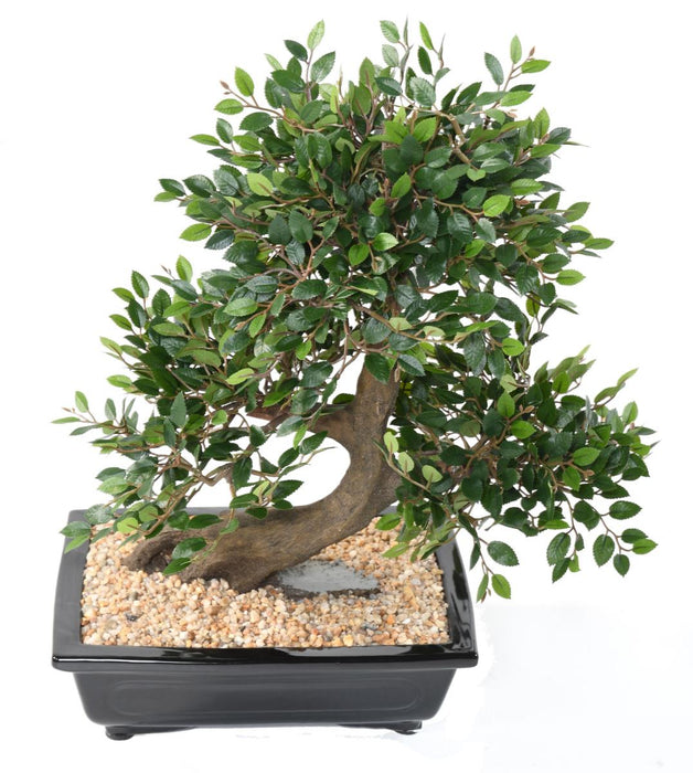 Kunstig Elm Bonsai Med Sort Keramisk Pot