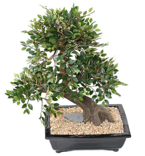 Kunstig Elm Bonsai Med Sort Keramisk Pot