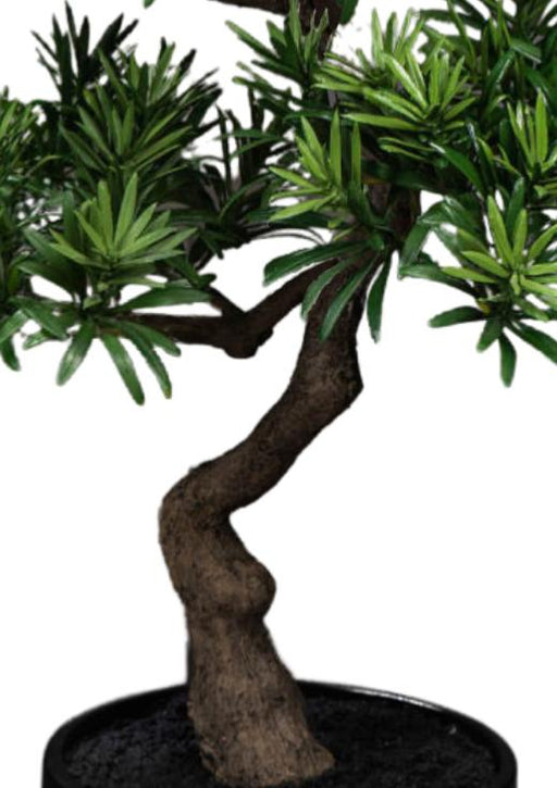 Kunstig Podocarpus Bonsai 50 Cm Til Indendørs
