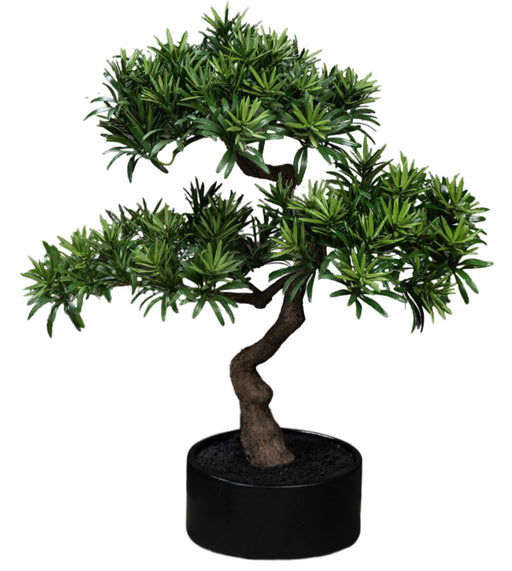 Kunstig Podocarpus Bonsai 50 Cm Til Indendørs