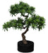 Kunstig Podocarpus Bonsai 50 Cm Til Indendørs
