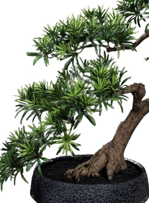 Kunstig Podocarpus Bonsai 70 Cm Til Indendørs