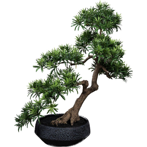 Kunstig Podocarpus Bonsai 70 Cm Til Indendørs