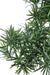 Kunstig Podocarpus Bonsai 78 Cm Til Indendørs