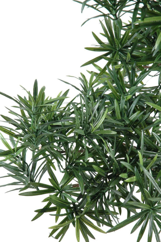 Kunstig Podocarpus Bonsai 78 Cm Til Indendørs