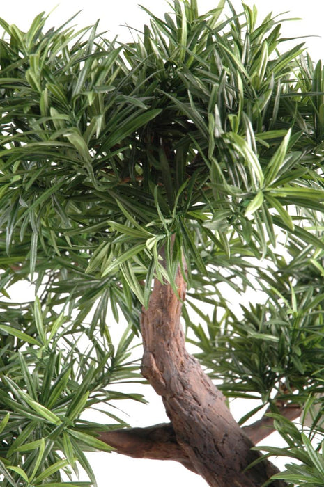 Kunstig Podocarpus Bonsai 78 Cm Til Indendørs