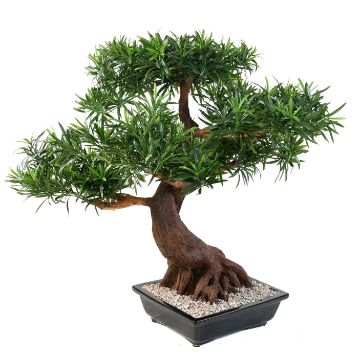 Kunstig Podocarpus Bonsai 78 Cm Til Indendørs