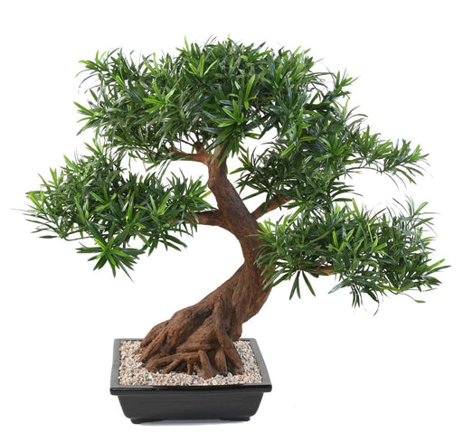 Kunstig Podocarpus Bonsai 78 Cm Til Indendørs