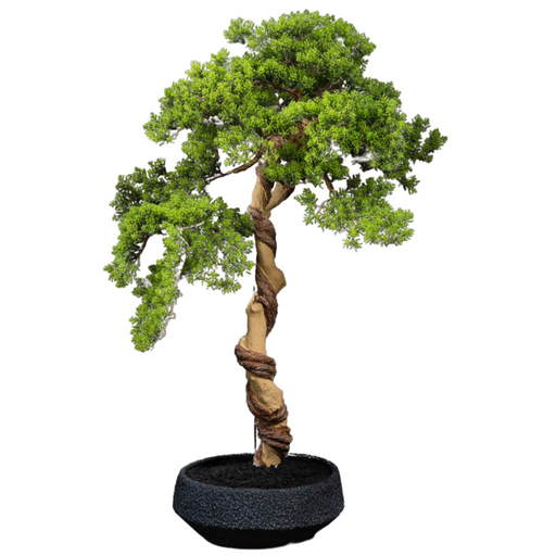 Kunstig Thuya Bonsai Med Pot Til Indendørs 90Cm