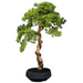Kunstig Thuya Bonsai Med Pot Til Indendørs 90Cm