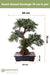 Bonsai Træ - Kunstig Bonsai