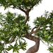 Gran Bonsai - Kunstig Bonsai
