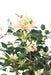 Kunstig Bougainvillea 150 Cm Hvide Lyserøde Blomster