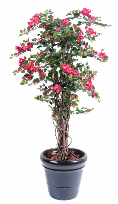 Kunstig Bougainvillea 150 Cm Fuchsia Indendørs Plante