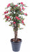 Kunstig Bougainvillea 150 Cm Fuchsia Indendørs Plante
