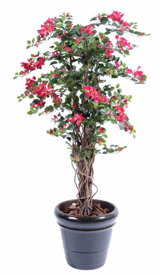 Kunstig Bougainvillea 150 Cm Fuchsia Indendørs Plante