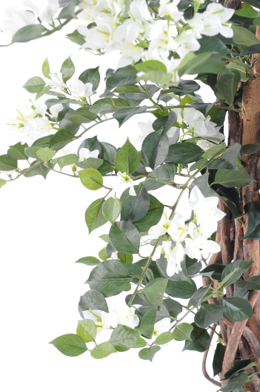 Kunstige Bougainvillea Hvide Blomster 180Cm