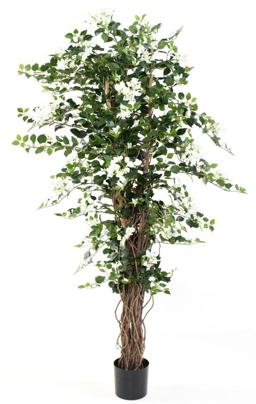 Kunstige Bougainvillea Hvide Blomster 180Cm