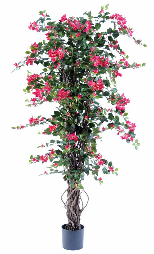 Kunstig Bougainvillea Fuchsia 180 Cm Indendørs Plante