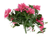 Kunstig Bougainvillea Fuchsia Til Udendørs Dekoration