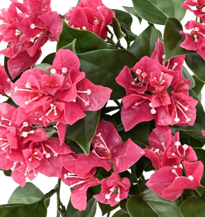 Kunstig Bougainvillea Fuchsia Til Udendørs Dekoration