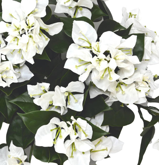 Kunstig Bougainvillea Uv 40Cm Hvid Til Udendørs