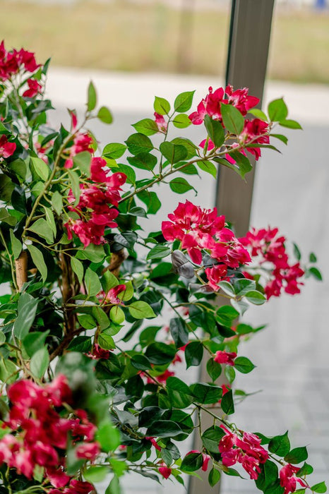 Bougainvillea Liana Fuschia - Kunstigt Træ