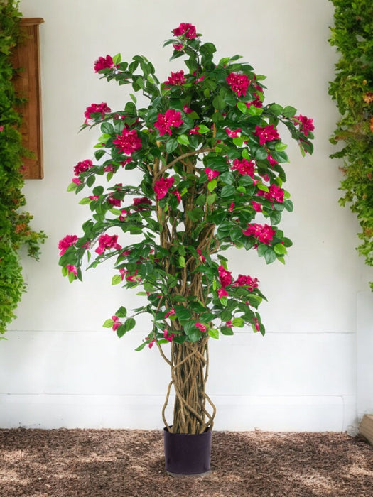 Bougainvillea Liana Fuschia - Kunstigt Træ